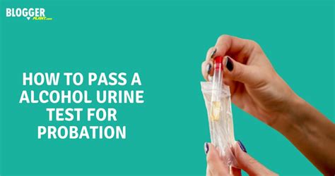 And finally, you can try using a detox drink. . How to pass a urine test for alcohol reddit